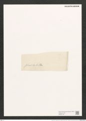 Navicula lyra var. seductilis (A.Sch.) O'Meara (de-Toni-Nr.: Genus 1, Species 327) Zeichnungen Sammlung Grunow (NHMW-BOT-W0367140)